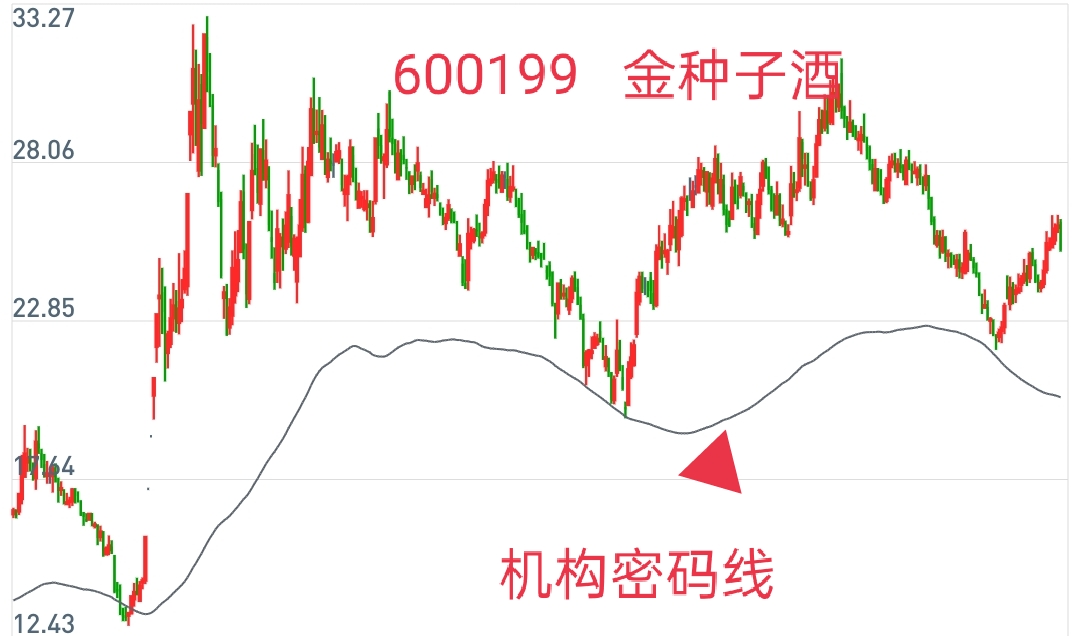 金种子酒股票最新动态全面解读