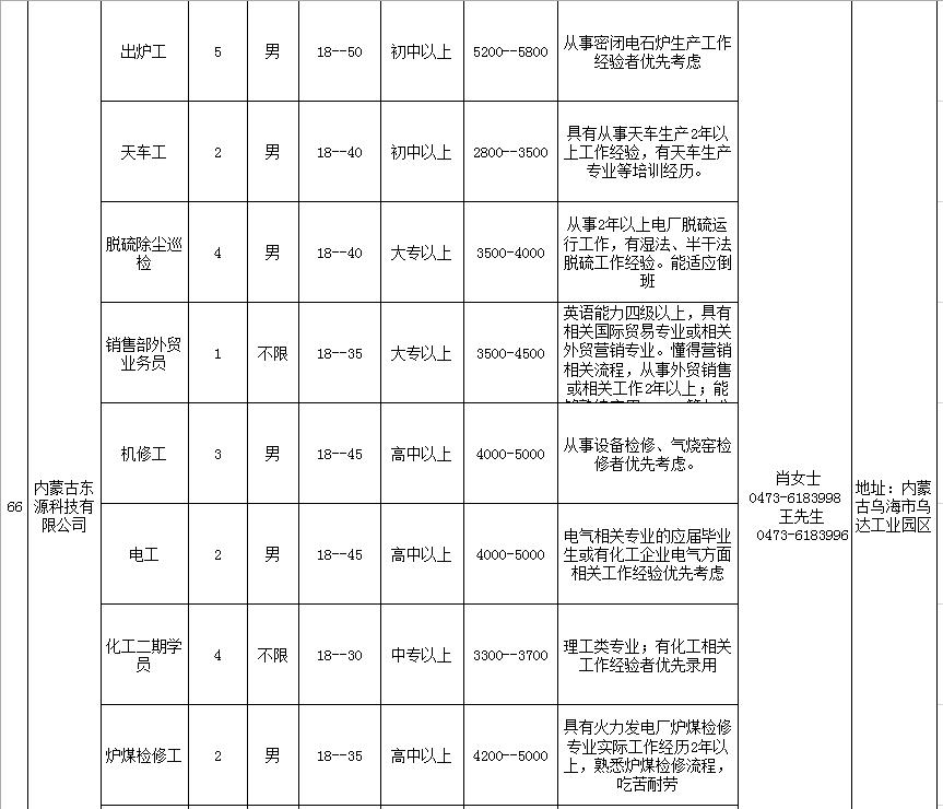 最新招聘信息全面更新，职场精英的机遇之门已开启！