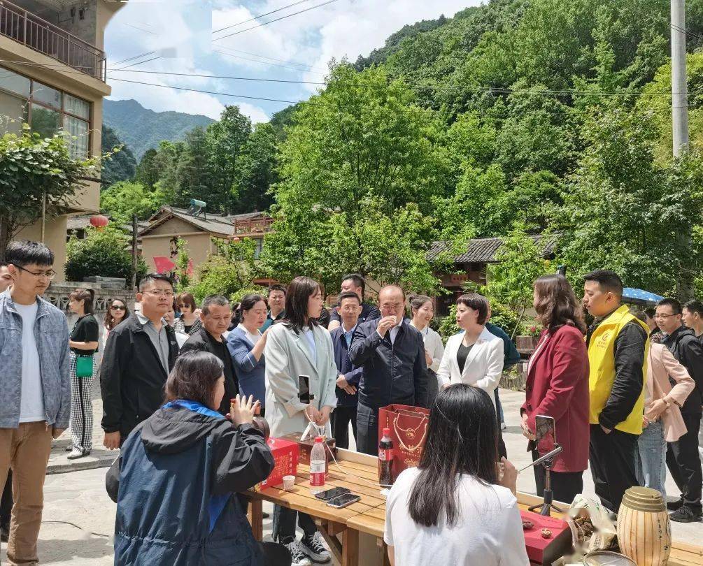 卓家沟村民委员会领导团队全新亮相，展望未来发展之路