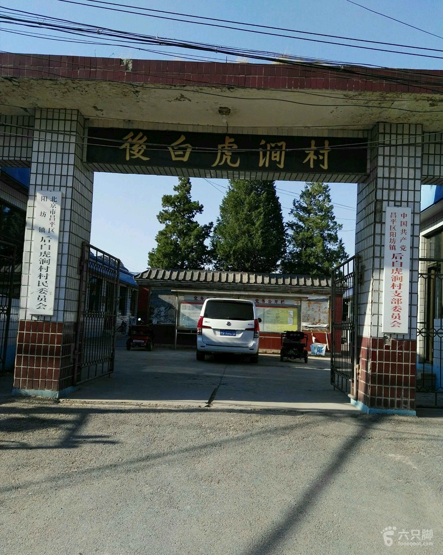 白虎村民委员会最新动态，振兴乡村，共建美好未来